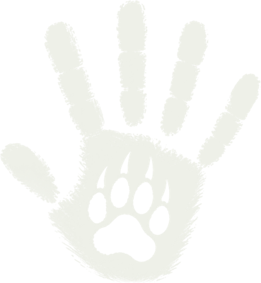 Život v divočine — logo